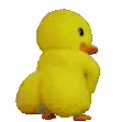 DatLavie69 avatar