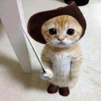 khoa lê avatar