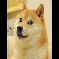 duong avatar