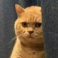 Trương Việt Toàn avatar