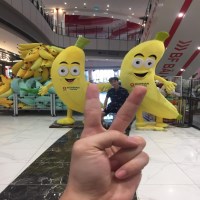 Nguyen Dat avatar