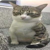 Thai avatar