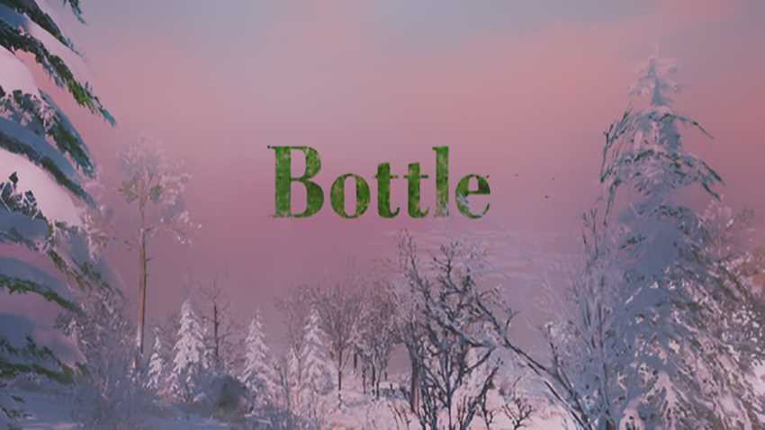 Bottle cover Bottle cover
