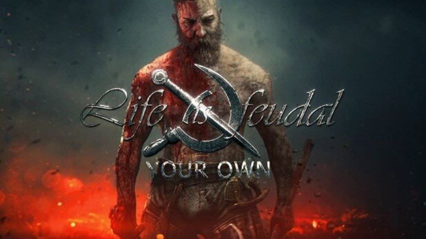 Life is Feudal: Your Own cover Life is Feudal: Your Own cover