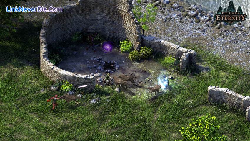 Hình ảnh trong game Pillars of Eternity Royal Edition (screenshot) Hình ảnh trong game Pillars of Eternity Royal Edition (screenshot)