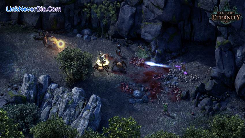 Hình ảnh trong game Pillars of Eternity Royal Edition (screenshot) Hình ảnh trong game Pillars of Eternity Royal Edition (screenshot)