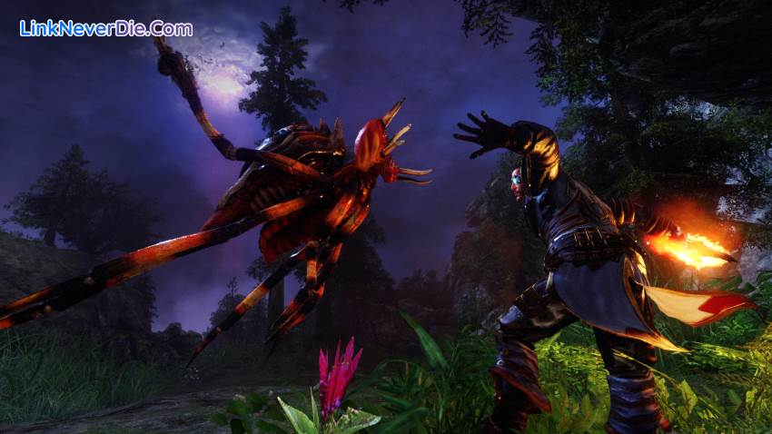 Hình ảnh trong game Risen 3 (screenshot) Hình ảnh trong game Risen 3 (screenshot)