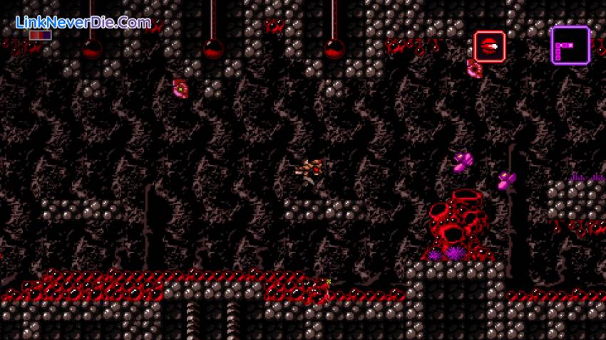 Hình ảnh trong game Axiom Verge (screenshot) Hình ảnh trong game Axiom Verge (screenshot)