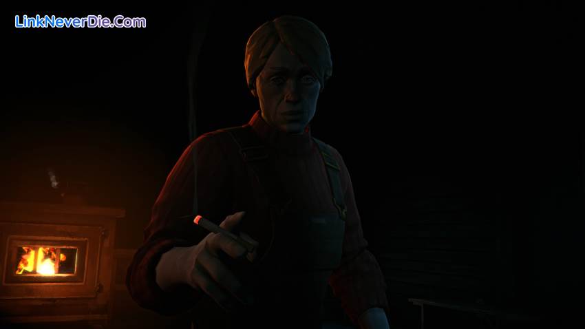 Hình ảnh trong game The Long Dark (screenshot) Hình ảnh trong game The Long Dark (screenshot)