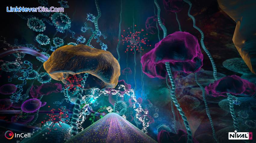 Hình ảnh trong game InCell VR (screenshot) Hình ảnh trong game InCell VR (screenshot)