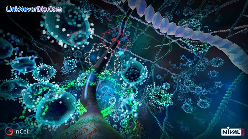 Hình ảnh trong game InCell VR (screenshot) Hình ảnh trong game InCell VR (screenshot)