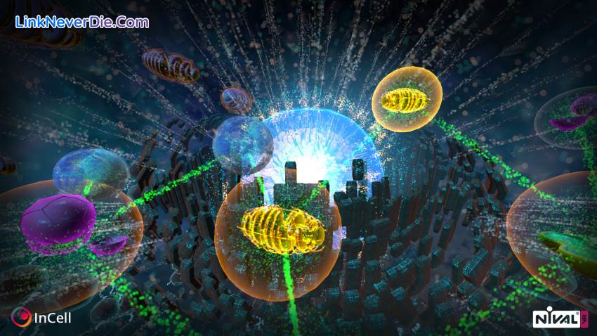 Hình ảnh trong game InCell VR (screenshot) Hình ảnh trong game InCell VR (screenshot)