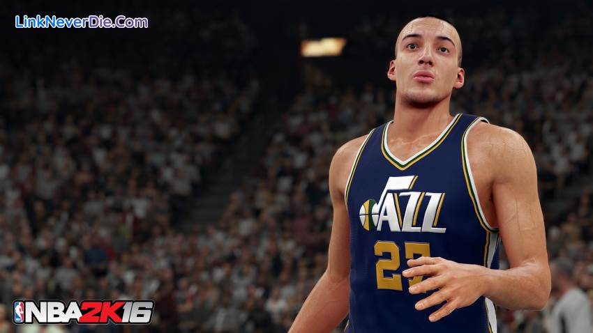 Hình ảnh trong game NBA 2K16 (screenshot) Hình ảnh trong game NBA 2K16 (screenshot)