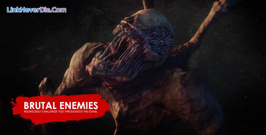 Hình ảnh trong game Lichdom Battlemage (screenshot) Hình ảnh trong game Lichdom Battlemage (screenshot)