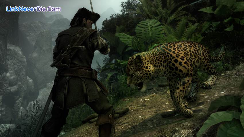 Hình ảnh trong game Vendetta - Curse of Raven's Cry (screenshot) Hình ảnh trong game Vendetta - Curse of Raven's Cry (screenshot)