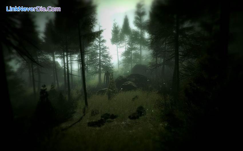 Hình ảnh trong game Slender: The Arrival (screenshot) Hình ảnh trong game Slender: The Arrival (screenshot)