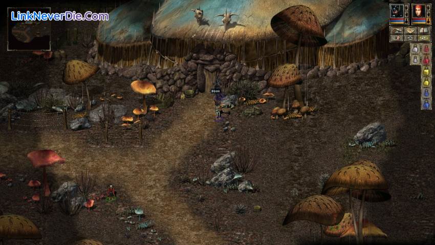 Hình ảnh trong game Beyond Divinity (screenshot) Hình ảnh trong game Beyond Divinity (screenshot)