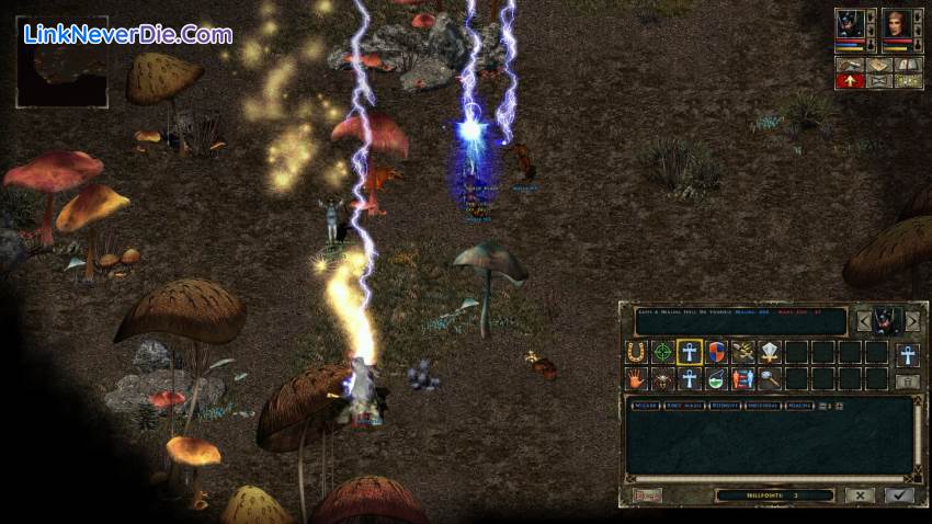 Hình ảnh trong game Beyond Divinity (screenshot) Hình ảnh trong game Beyond Divinity (screenshot)