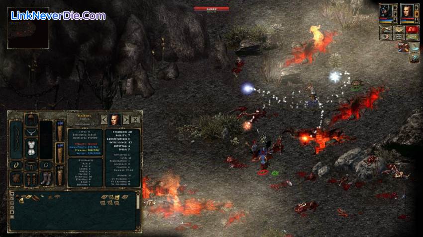 Hình ảnh trong game Beyond Divinity (screenshot) Hình ảnh trong game Beyond Divinity (screenshot)