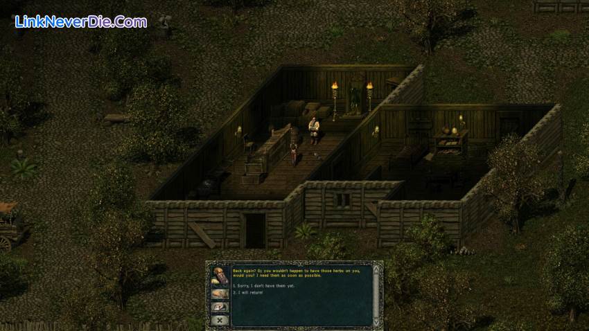 Hình ảnh trong game Divine Divinity (screenshot) Hình ảnh trong game Divine Divinity (screenshot)