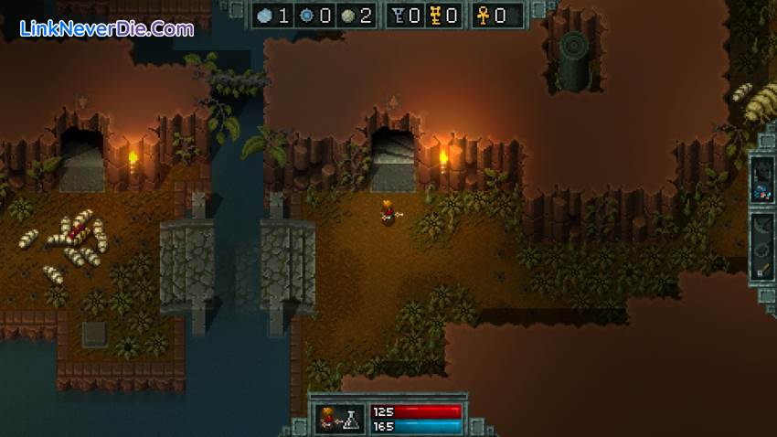 Hình ảnh trong game Hammerwatch (screenshot) Hình ảnh trong game Hammerwatch (screenshot)