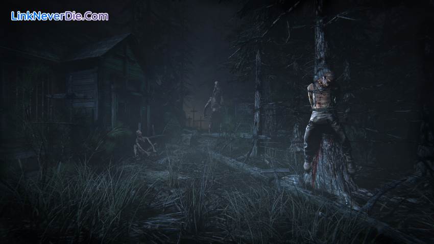 Hình ảnh trong game Outlast 2 (screenshot) Hình ảnh trong game Outlast 2 (screenshot)