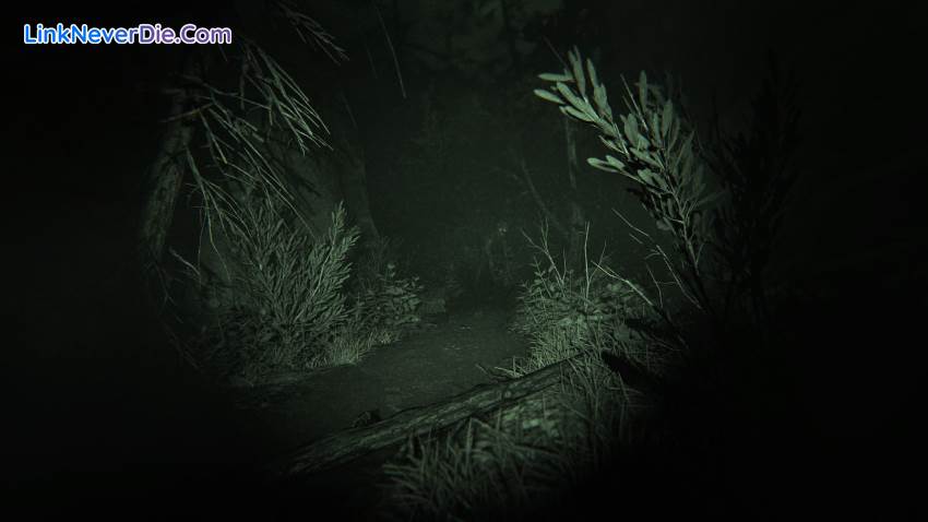 Hình ảnh trong game Outlast 2 (screenshot) Hình ảnh trong game Outlast 2 (screenshot)