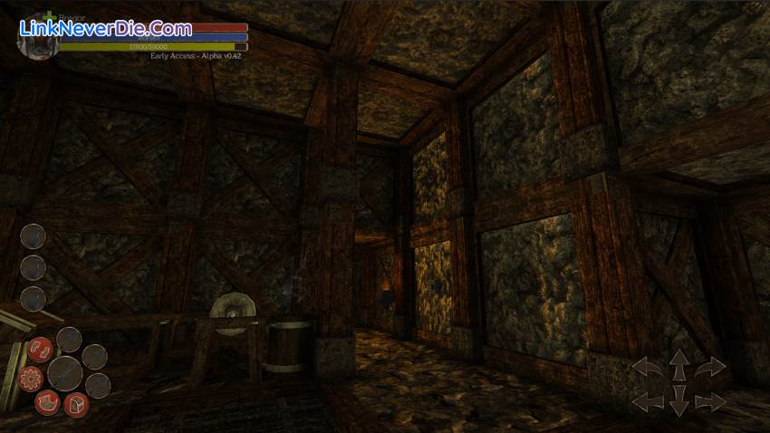 Hình ảnh trong game Ruzar - The Life Stone (screenshot) Hình ảnh trong game Ruzar - The Life Stone (screenshot)