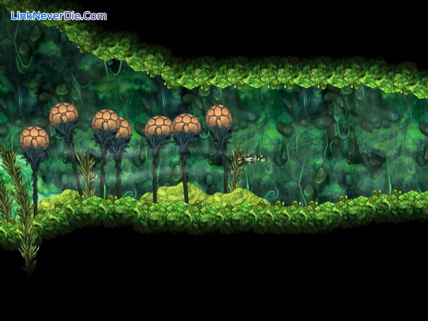 Hình ảnh trong game Aquaria (screenshot) Hình ảnh trong game Aquaria (screenshot)