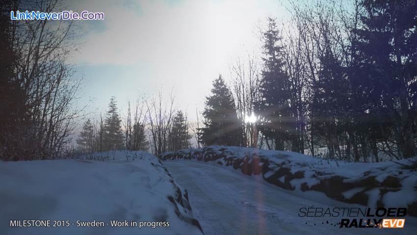 Hình ảnh trong game Sébastien Loeb Rally EVO (screenshot) Hình ảnh trong game Sébastien Loeb Rally EVO (screenshot)