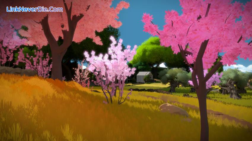 Hình ảnh trong game The Witness (screenshot) Hình ảnh trong game The Witness (screenshot)