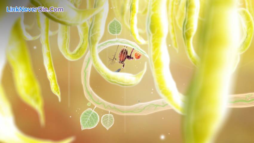 Hình ảnh trong game Botanicula (screenshot) Hình ảnh trong game Botanicula (screenshot)