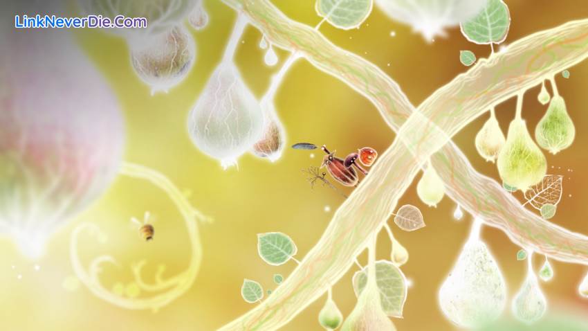 Hình ảnh trong game Botanicula (screenshot) Hình ảnh trong game Botanicula (screenshot)