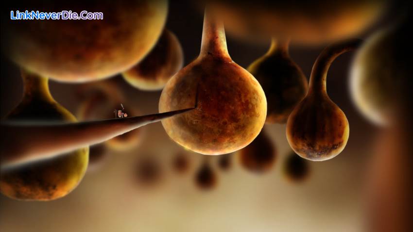 Hình ảnh trong game Botanicula (screenshot) Hình ảnh trong game Botanicula (screenshot)