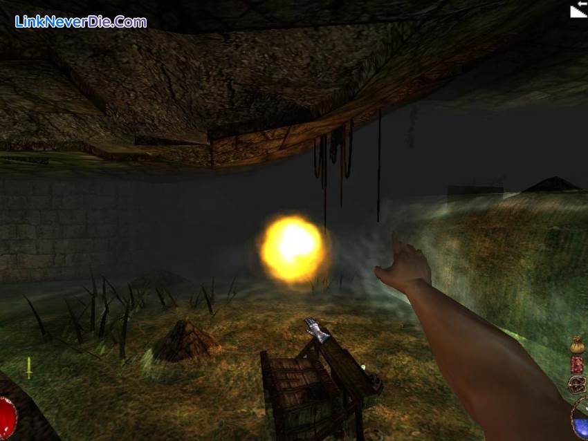 Hình ảnh trong game Arx Fatalis (screenshot) Hình ảnh trong game Arx Fatalis (screenshot)