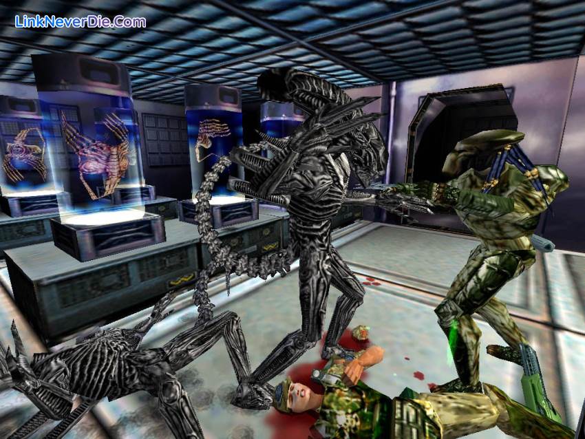 Hình ảnh trong game Aliens Versus Predator Classic (screenshot) Hình ảnh trong game Aliens Versus Predator Classic (screenshot)