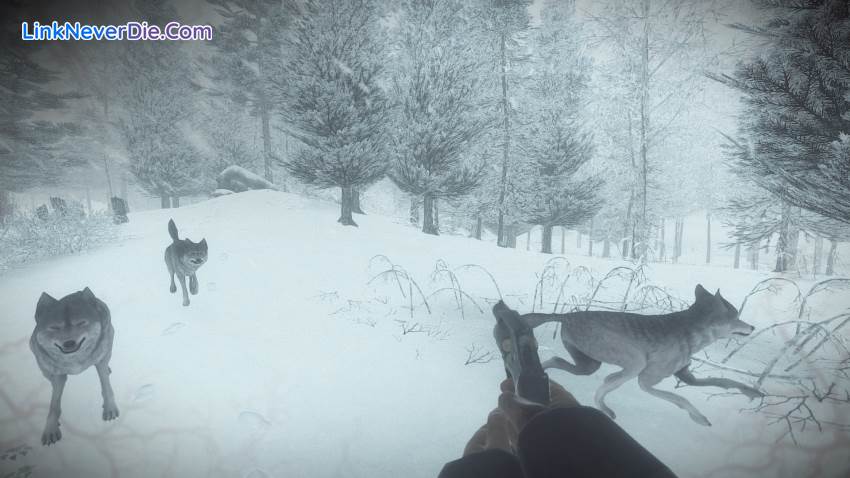 Hình ảnh trong game Kona (screenshot) Hình ảnh trong game Kona (screenshot)