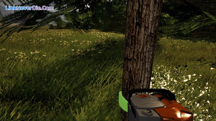 Hình ảnh trong game Forestry 2017: The Simulation (screenshot) Hình ảnh trong game Forestry 2017: The Simulation (screenshot)