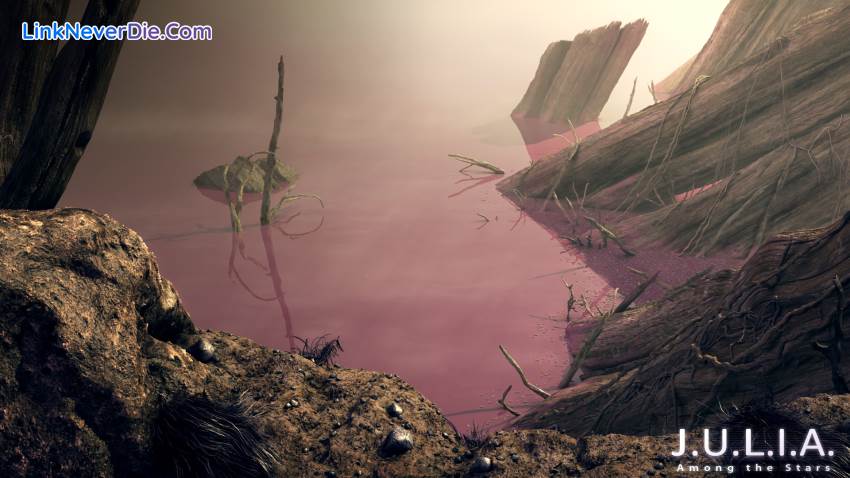 Hình ảnh trong game J.U.L.I.A.: Among the Stars (screenshot) Hình ảnh trong game J.U.L.I.A.: Among the Stars (screenshot)