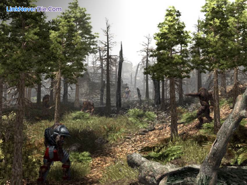 Hình ảnh trong game Gothic 3 (screenshot) Hình ảnh trong game Gothic 3 (screenshot)