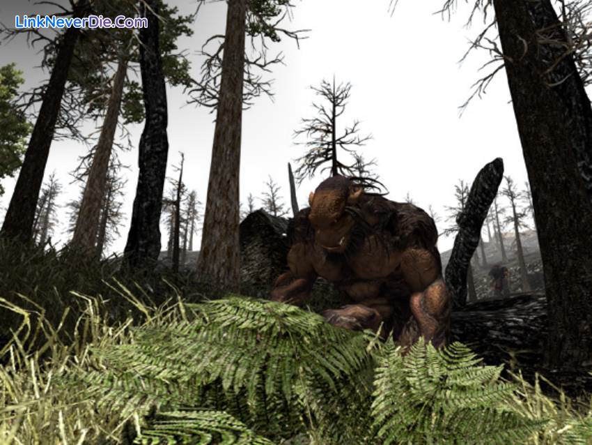 Hình ảnh trong game Gothic 3 (screenshot) Hình ảnh trong game Gothic 3 (screenshot)