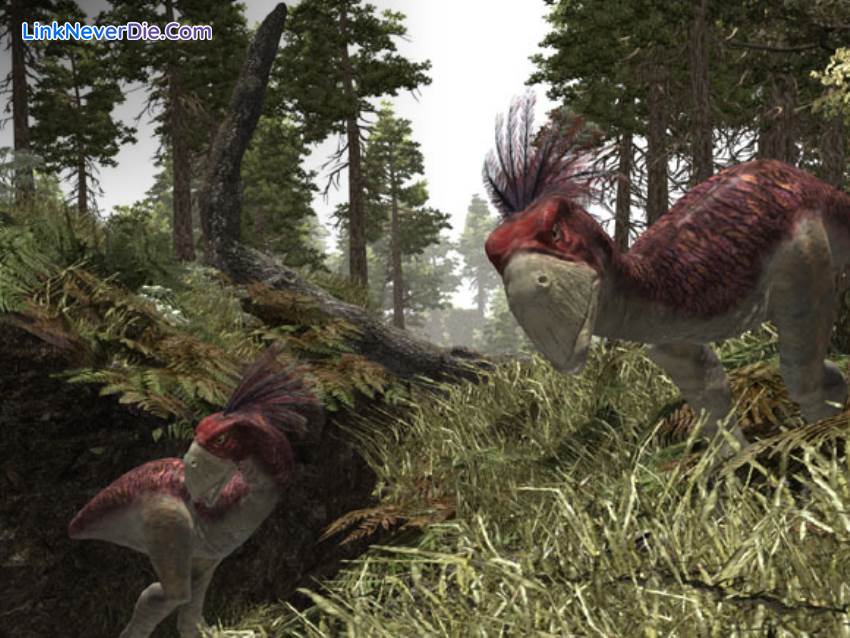 Hình ảnh trong game Gothic 3 (screenshot) Hình ảnh trong game Gothic 3 (screenshot)