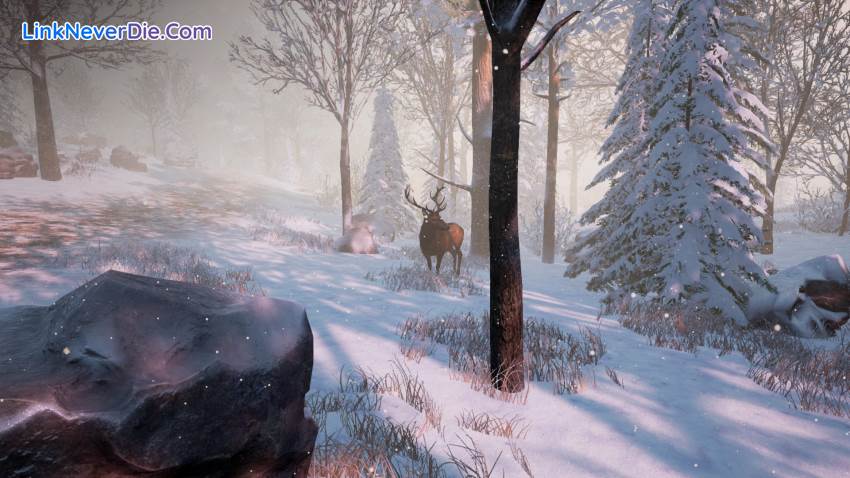 Hình ảnh trong game Bottle (screenshot) Hình ảnh trong game Bottle (screenshot)