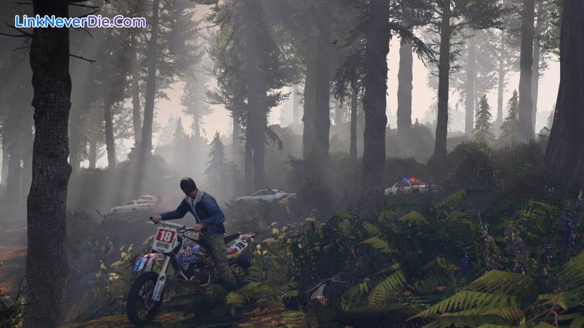 Hình ảnh trong game Grand Theft Auto 5 (screenshot) Hình ảnh trong game Grand Theft Auto 5 (screenshot)