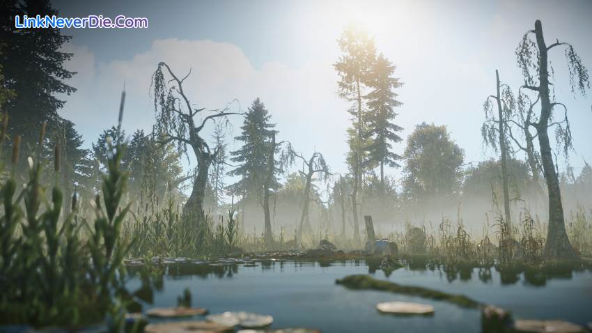 Hình ảnh trong game Rust (screenshot) Hình ảnh trong game Rust (screenshot)