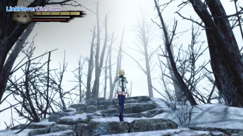 Hình ảnh trong game Anima Gate of Memories (screenshot) Hình ảnh trong game Anima Gate of Memories (screenshot)