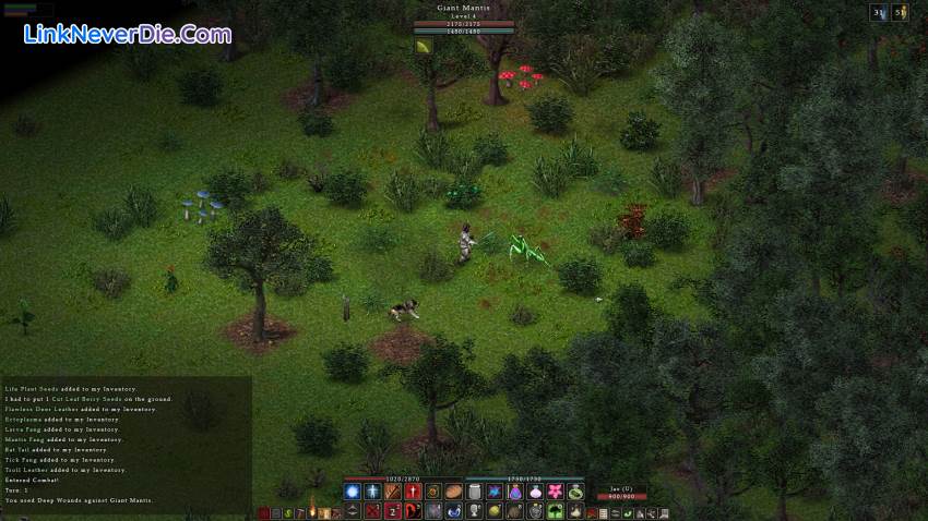 Hình ảnh trong game Balrum (screenshot) Hình ảnh trong game Balrum (screenshot)