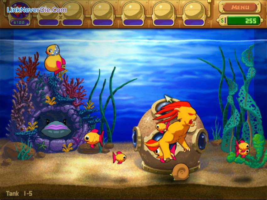 Hình ảnh trong game Insaniquarium (screenshot) Hình ảnh trong game Insaniquarium (screenshot)
