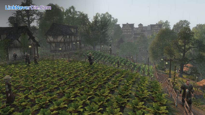 Hình ảnh trong game Life is Feudal: Forest Village (screenshot) Hình ảnh trong game Life is Feudal: Forest Village (screenshot)