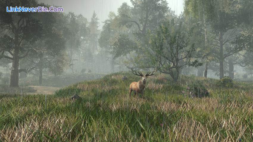 Hình ảnh trong game Life is Feudal: Forest Village (screenshot) Hình ảnh trong game Life is Feudal: Forest Village (screenshot)